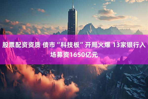 股票配资资质 债市“科技板”开局火爆 13家银行入场募资1650亿元