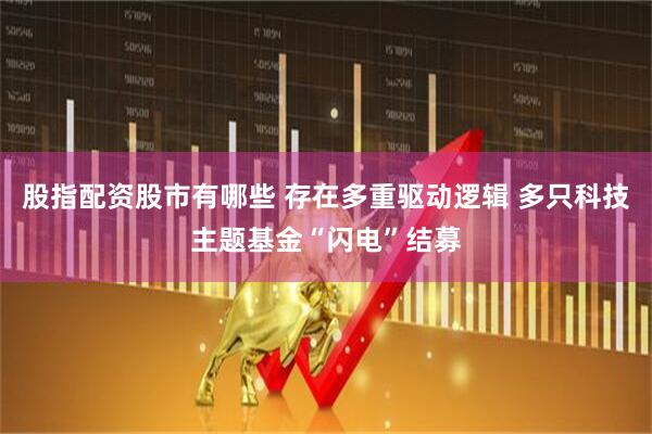 股指配资股市有哪些 存在多重驱动逻辑 多只科技主题基金“闪电”结募